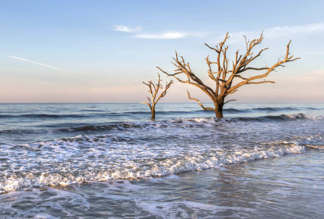 Edisto Beach