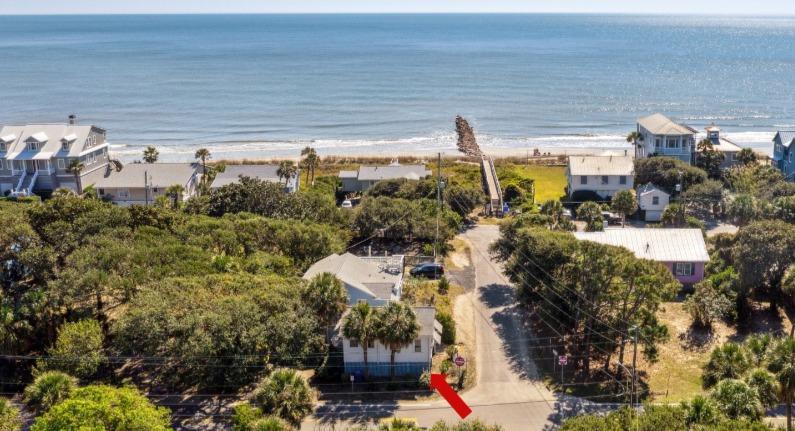 Long Term Rental Fiddler Crab