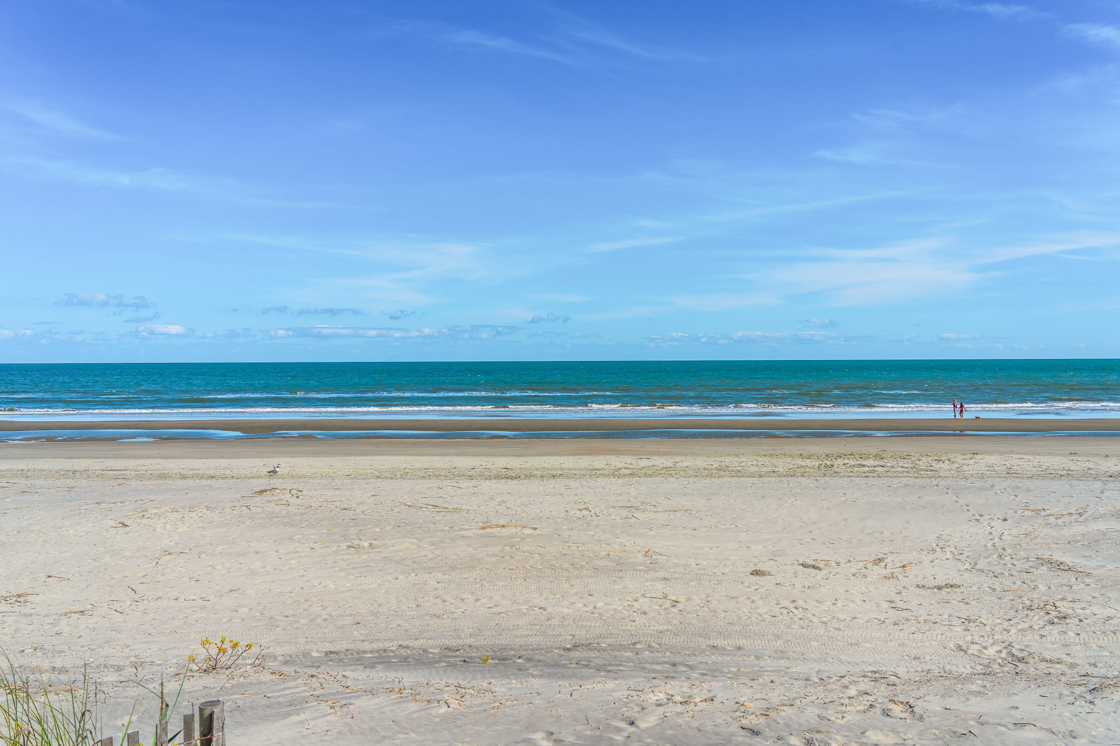 Things To Do Keelforce Sailing Charters