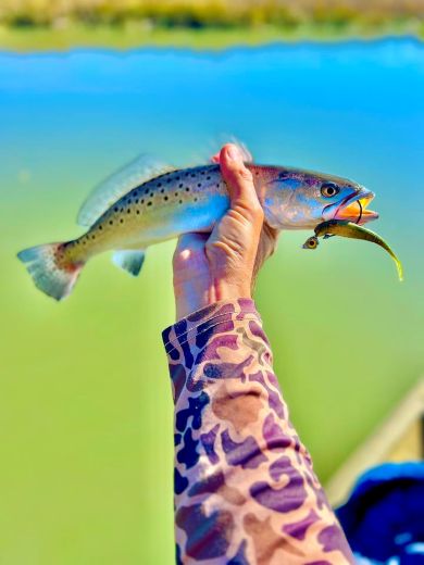 Things To Do Ravenel Fishing Charters