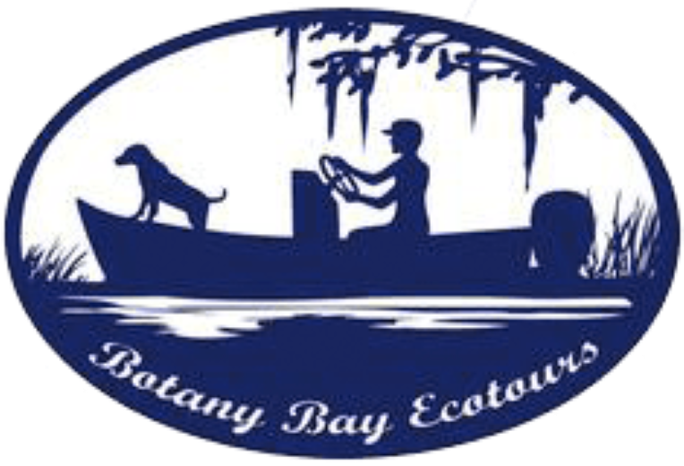 Things To Do Botany Bay Eco Tours