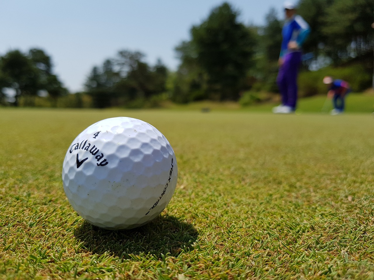Things To Do Shadowmoss Plantation Golf Club