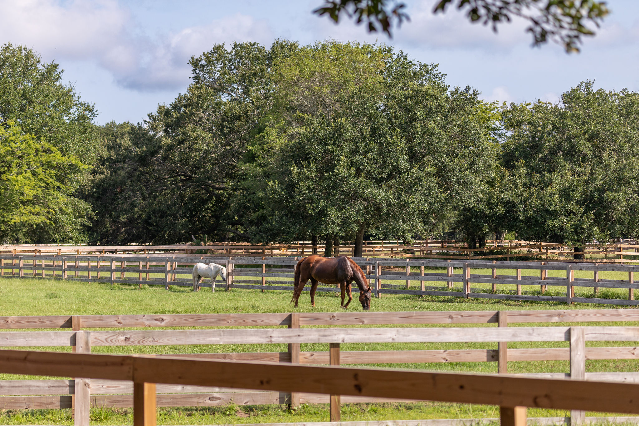 Things To Do Horseback Riding & Equestrian Center