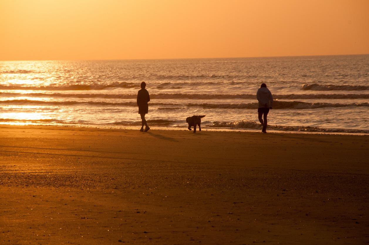 Couple and their dog walking along the shoreline at sunrise in october on Isle of Palms