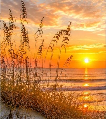 Folly Beach Guest Services