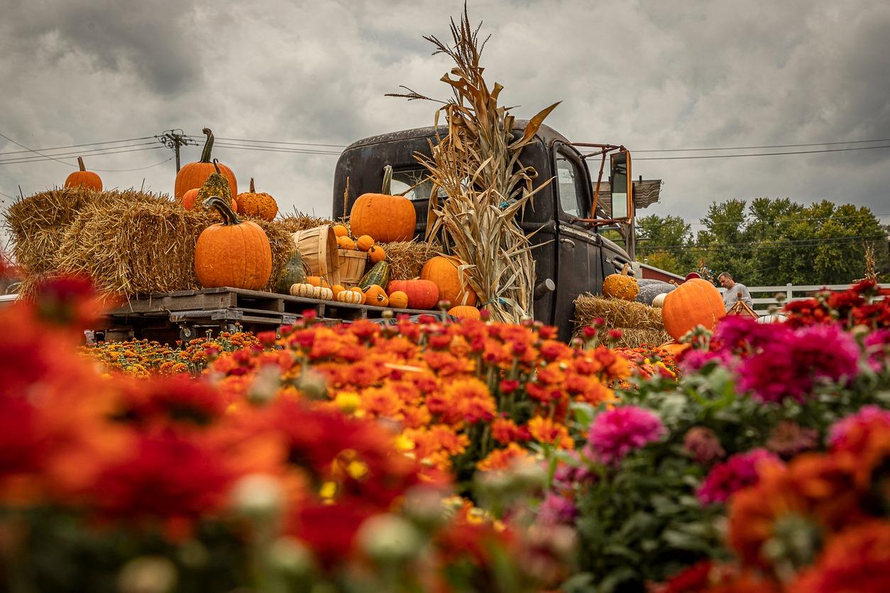 Old truck decorated for a fall festival.