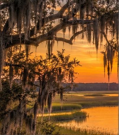 Folly Beach Guest Services