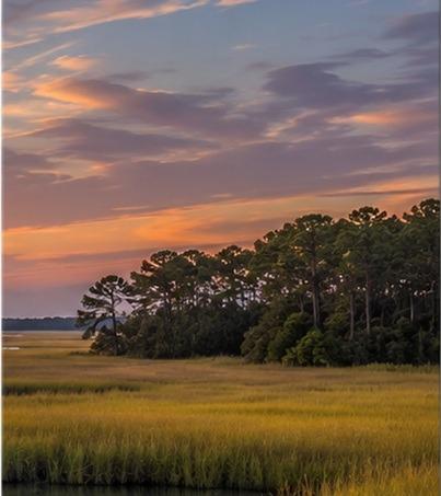 Isle Of Palms Local Events