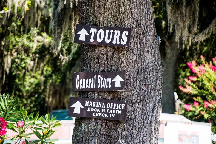 Things to Do on Edisto Island