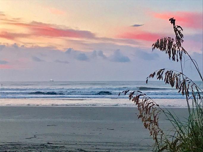 Shopping and Sightseeing in Isle of Palms